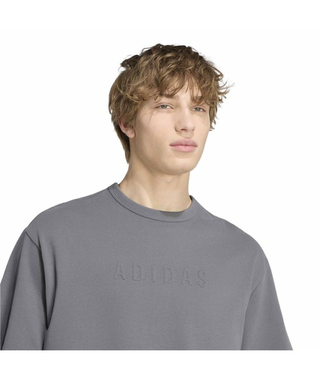 Camiseta adidas M Sl Gfx T Cinza