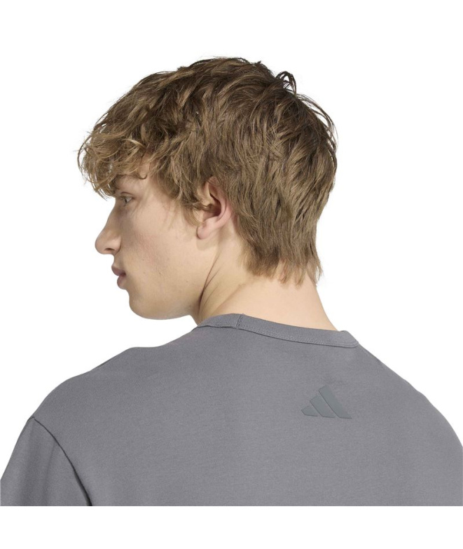 Camiseta adidas M Sl Gfx T Cinza