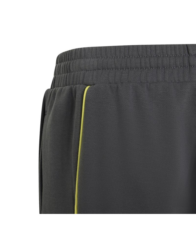 Calça Adidas Color Block Homem cinza