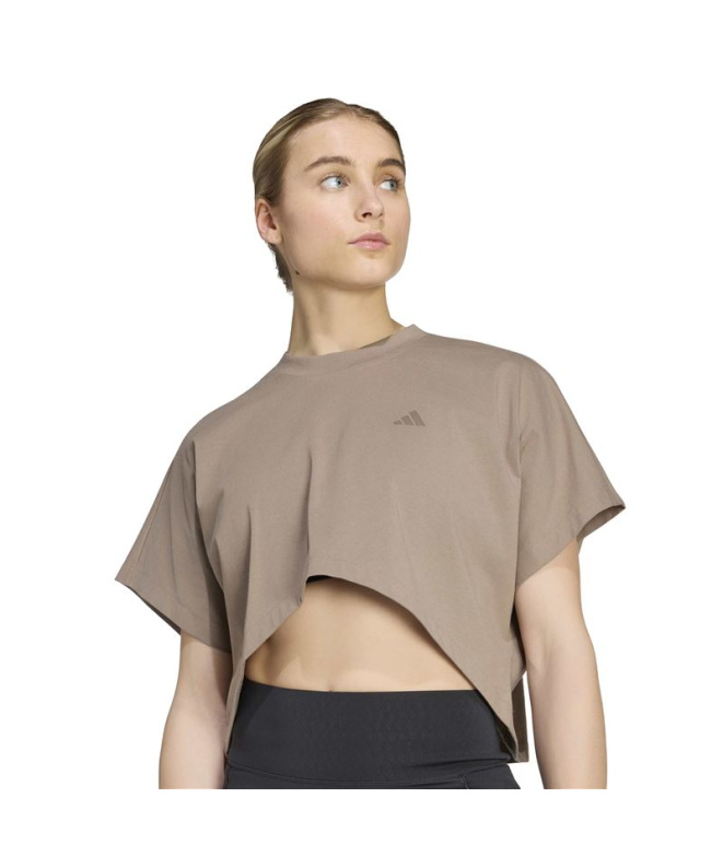 Camiseta adidas Pl Gfx Caqsei Fitness