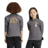Sweat gris adidas LK Monster FZ