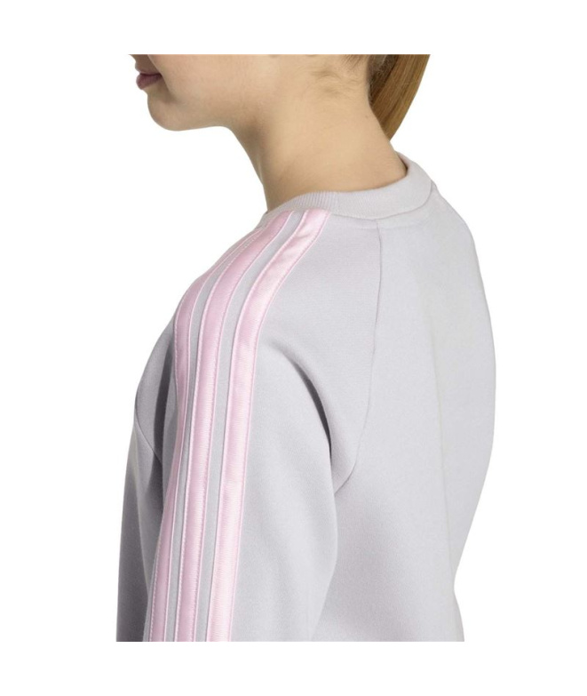 Sudadera adidas Jg Satin Grpulg/Roscla