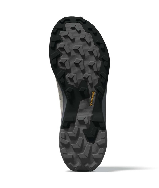 Chaussures Montagne adidas Terrex Skychaser AX5...
