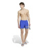 Fato de banho adidas Coll Homem Azul Praia e piscina