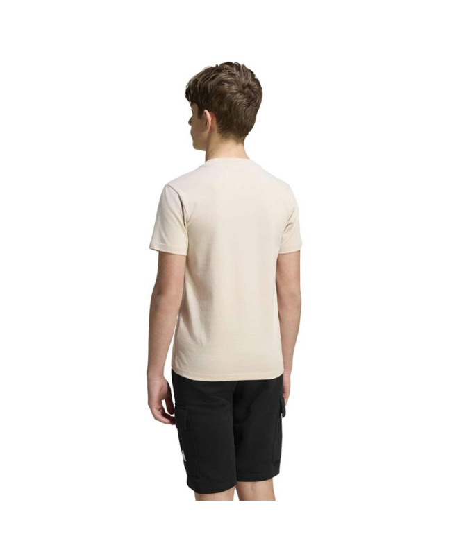 Camiseta adidas J Bl 160 Licr/Caqsei