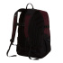 Sac à dos Montagne The North Face Borealis Classic Homme , violet