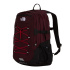 Sac à dos Montagne The North Face Borealis Classic Homme , violet