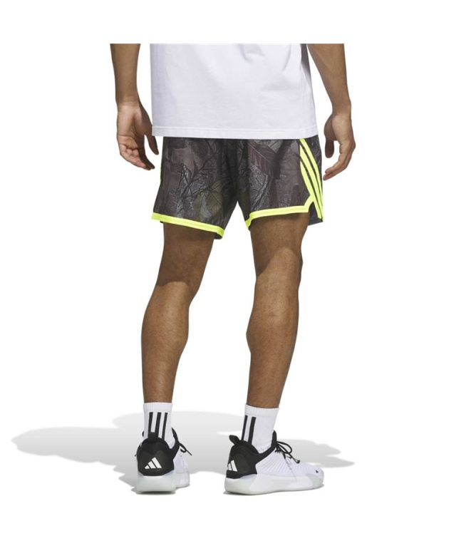 Calça Basquetebol adidas Crazylite Camo...