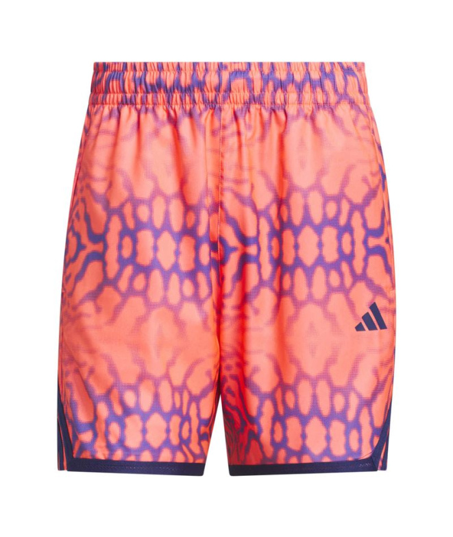Pantalons Basket-ball adidas Crazylite Graph bleu