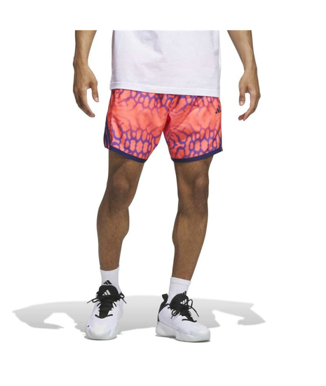 Pantalons Basket-ball adidas Crazylite Graph bleu