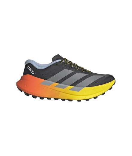Chaussures Trail adidas Terrex Agravic SL Femme grises