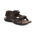 Sandalias de trekking Regatta Haris Marrón