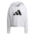 Sweatshirt adidas Sportswear Future Icons