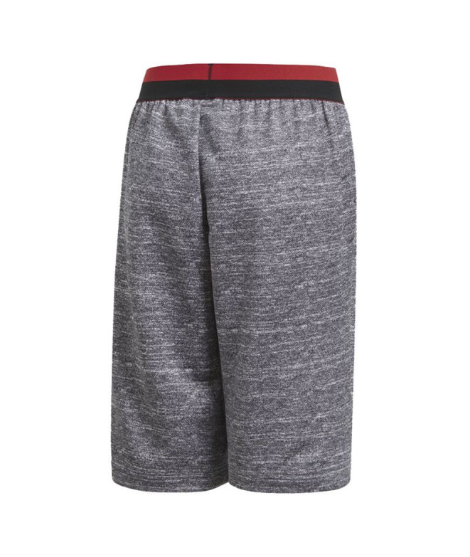 Calça Curto adidas Manchester United Cinzento