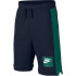 Sportswear Trousers Nike Air Short FT