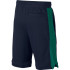 Sportswear Trousers Nike Air Short FT