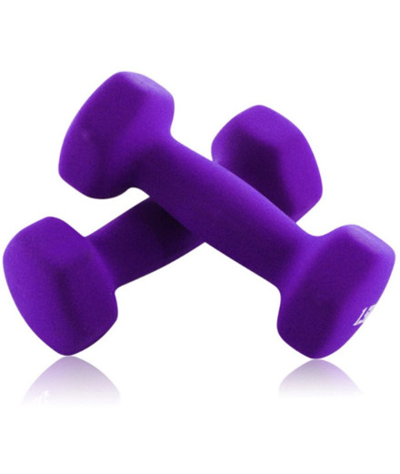 Fitness Joluvi Halteres 1,5 kg Roxo