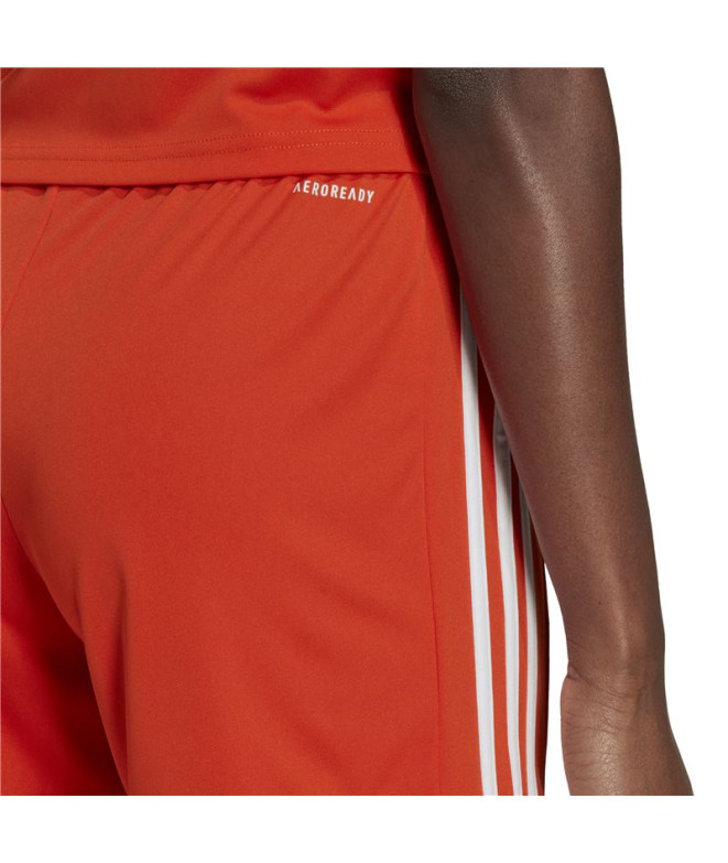 Calças de futebol adidas Squad 21 Calças de...