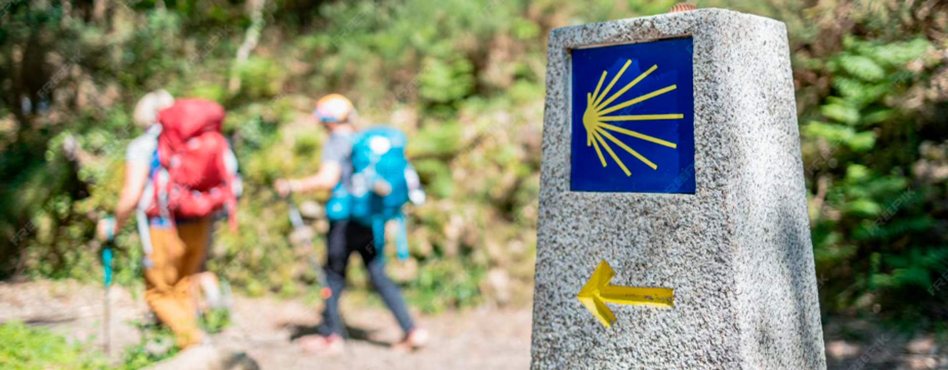 Mejores rutas del Camino de Santiago (guía completa 2026)